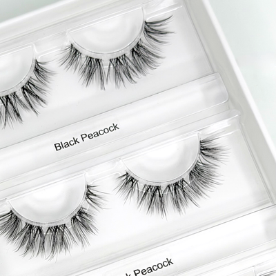 Black Peacock (Cateye) 10-14mm CC-Curl – Nahaufnahme der Wimpern in der geöffneten Box