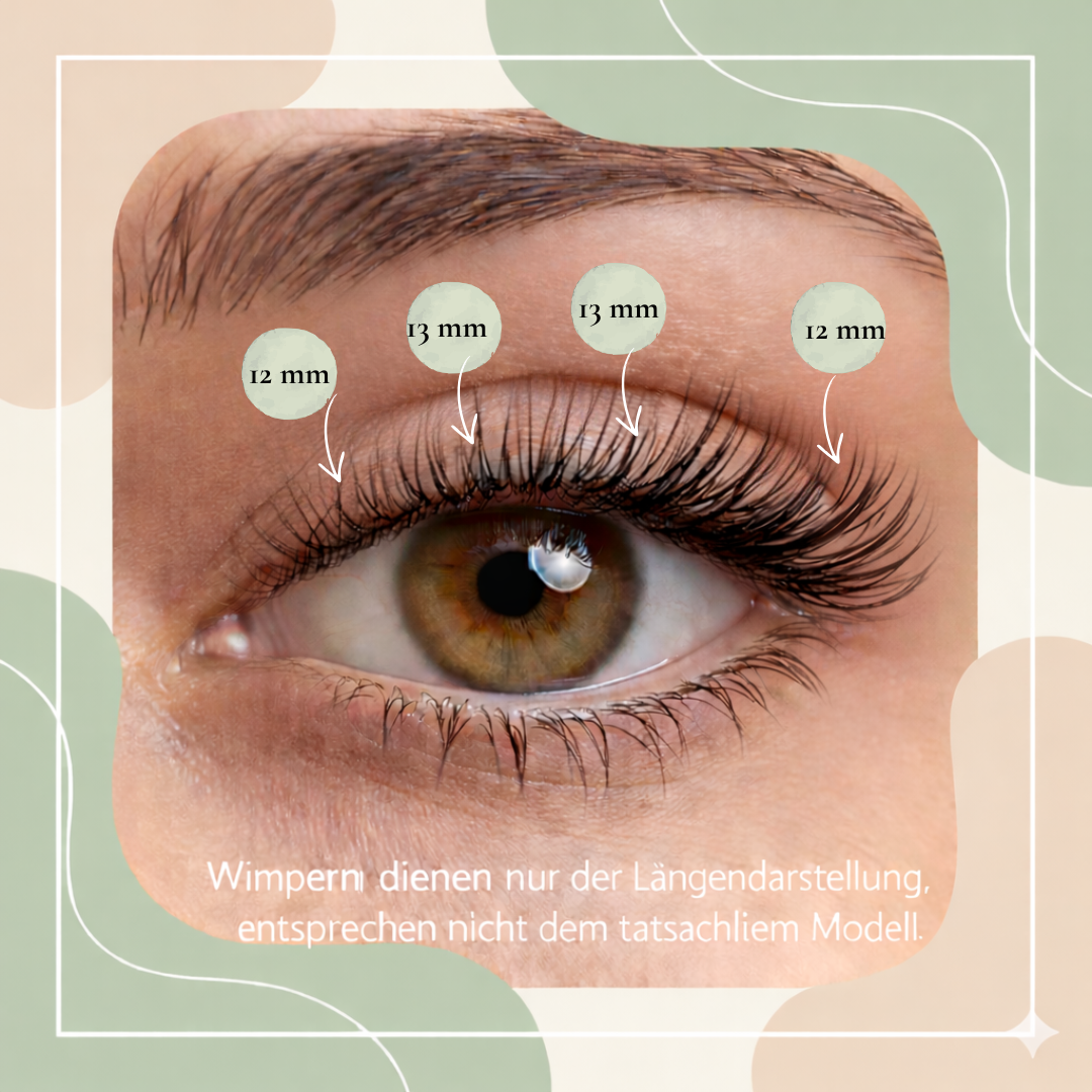 Starterset Glashes Lover (Dolleye 12-13 mm D - Curl ) - Glashes