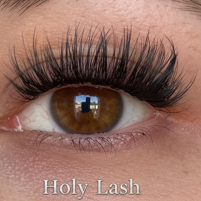 Glashes Holy Lash DIY-Wimpern von Glashes – Tragebild am Auge