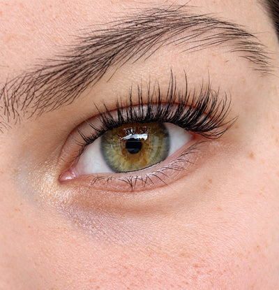 Glashes Whispy Lover in Schwarz am Auge – Cateye-Look mit 8–12 mm und CC-Curl.