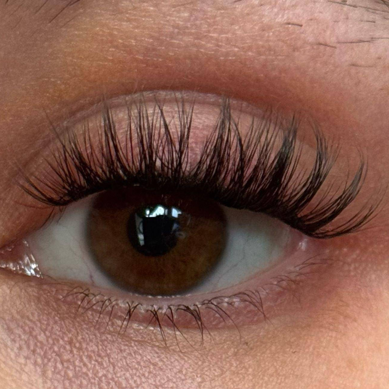 Kennenlern Set - Glashes