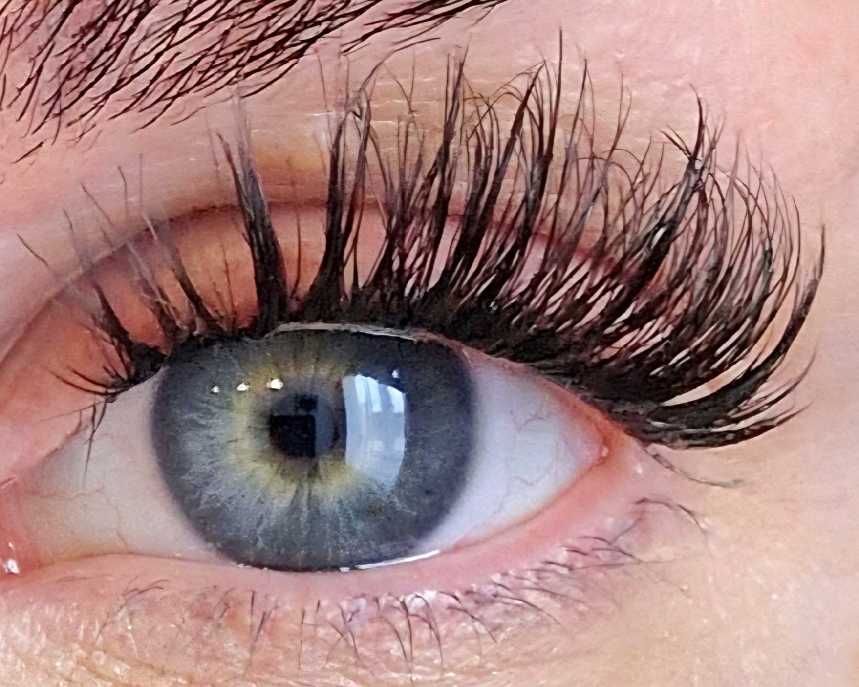 Starterset Fawni Lash (Dolleye) 11 - 15mm - Glashes