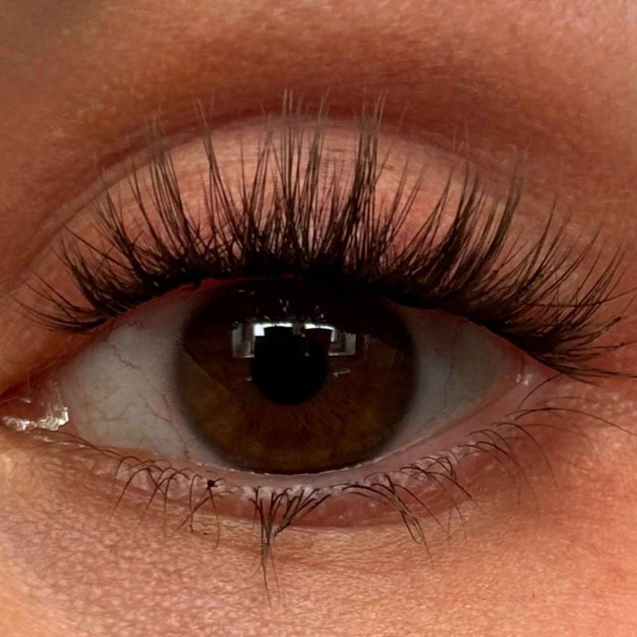 WhatTheLash (Dolleye) 10 - 14mm CC - Curl - Glashes