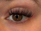 Whispy Wonder DIY Wimpern am Auge — Dolleye Look