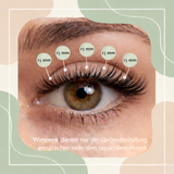 Adventskalender Wimpern Nr. 23 – Whispy Doll Eye - Glashes