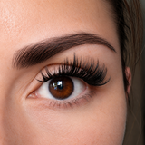 Black Peacock DIY Wimpern am Auge — femininer Cateye Look mit CC-Curl