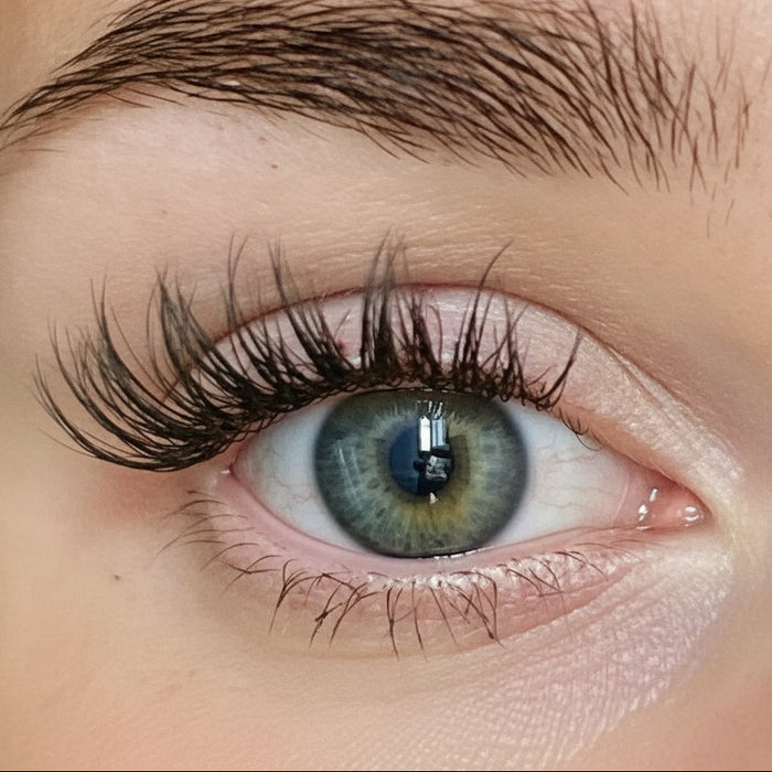 Butterfly Bliss DIY Wimpern am Auge — Cateye Look
