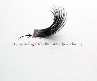 C-Curl Vergleich — Elastic Wings DIY Wimpern Cateye Look