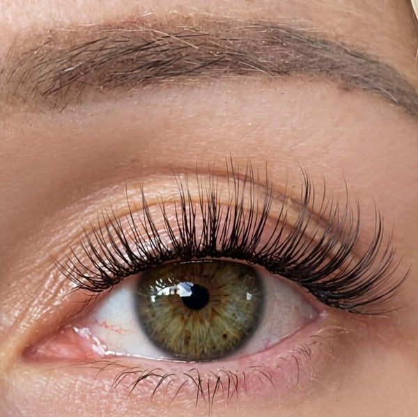 Honey Eye Nahaufnahme