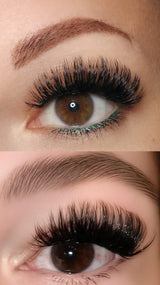 Miss Beast (Dolleye 15-16 mm D - Curl) - Glashes