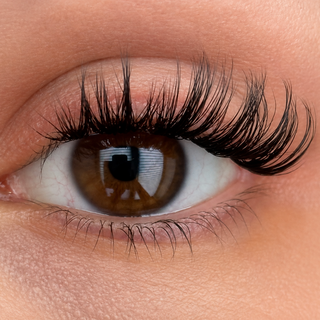 Kitty Kaboom DIY Wimpern am Auge — dramatischer Cateye Look mit CC-Curl