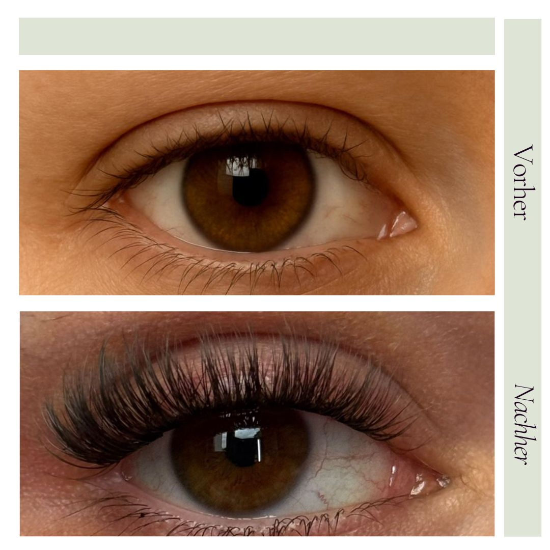 LashBloom Pre Cut