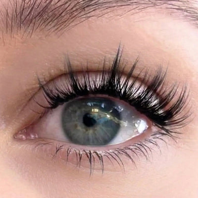 Tokyo Nr.1 – The Hybrid Lash