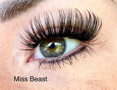 Miss Beast DIY Wimpern am Auge — dramatischer Dolleye Look