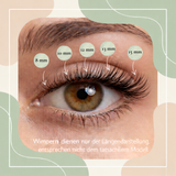 Starterset Glashes No4  (Cateye) 8-15mm - Glashes