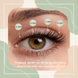Starterset Honey Eye ( Dolleye 10-12mm CC- Curl) - Glashes