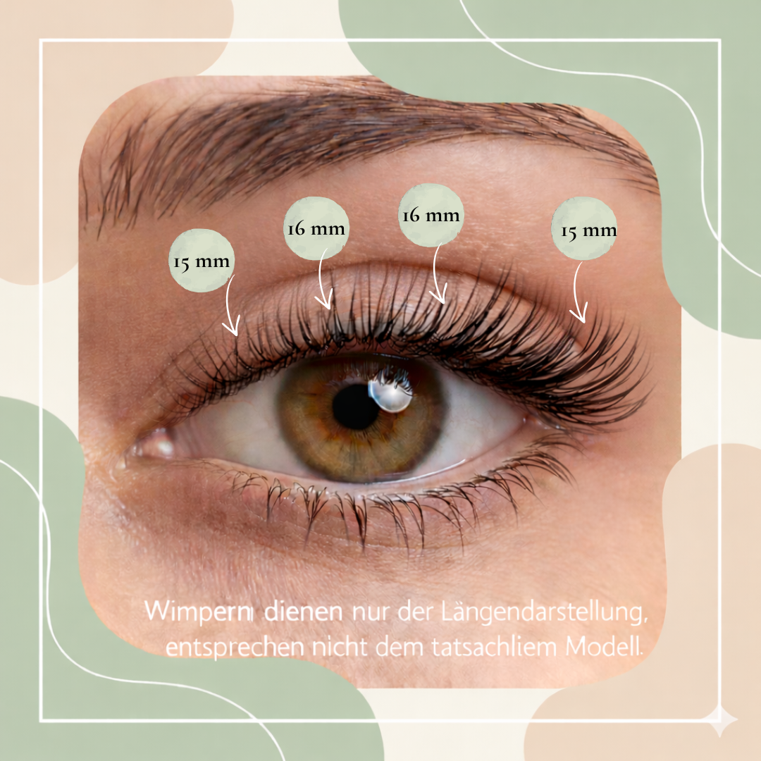 Starterset Miss Beast  (Dolleye 16mm ) - Glashes