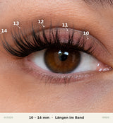 Elastic Wings DIY Wimpern am Auge — Längen im Band: 10, 11, 12, 13, 14 mm von innen nach außen