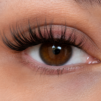 Glashes Elastic Wings (Cateye 10-14mm C- Curl)