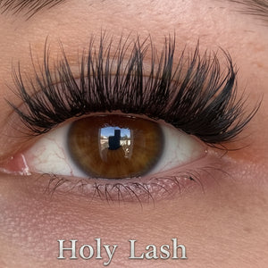 Holy Lash Tragebild