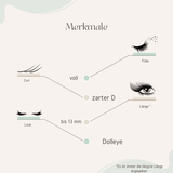 Glashes Lover Starterset — DIY Wimpern Komplettpaket