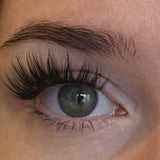 Silky Bloom DIY-Wimpern von Glashes – Tragebild am Auge