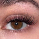 Kennenlern Set - Glashes