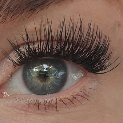 Flatterfee DIY Wimpern am Auge — Dolleye Look CC-Curl