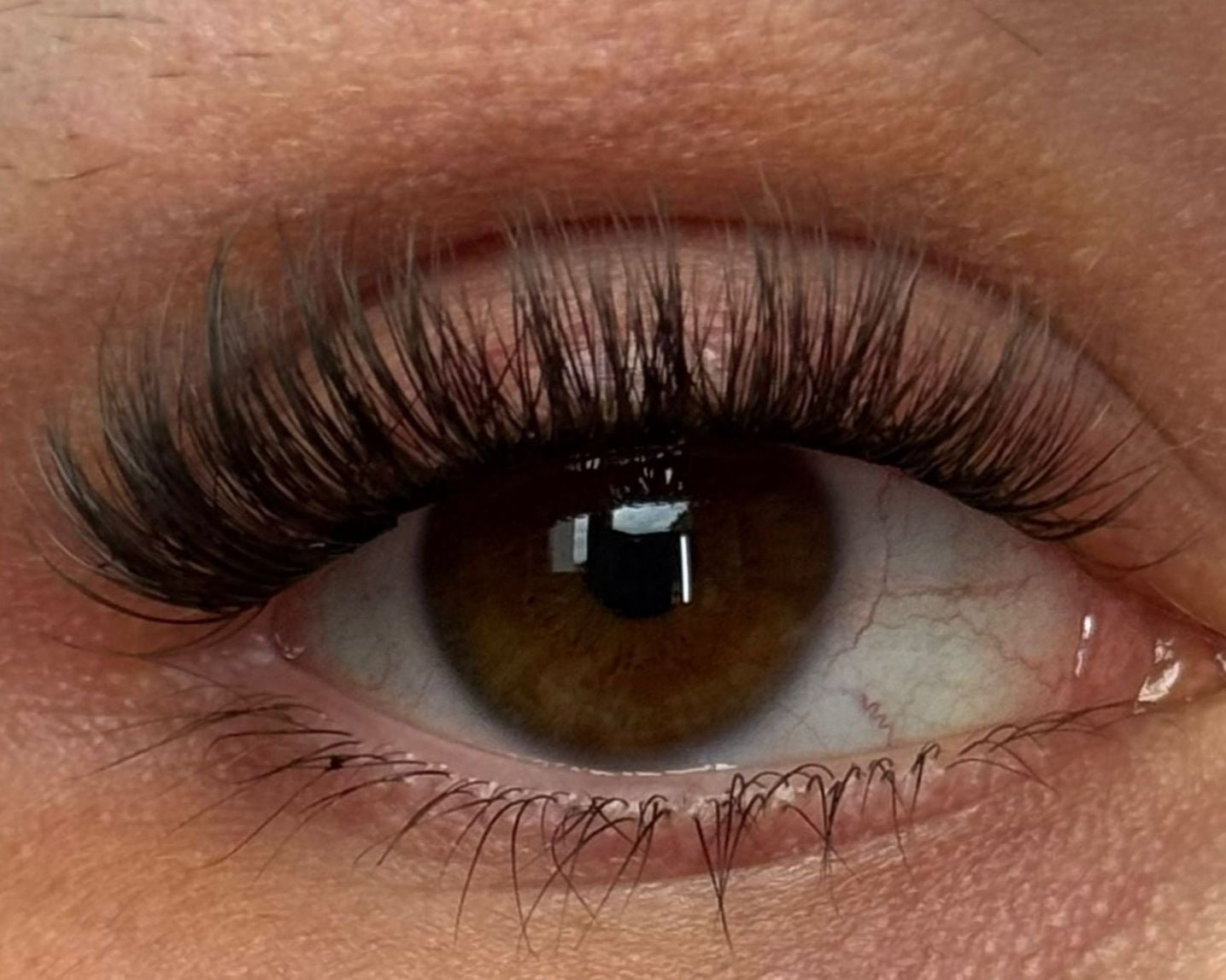 LashBloom Wimpernband - Glashes