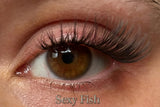 sexy-fish-cateye-look-8-14mm-2669919 - Glashes