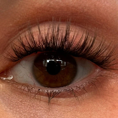 WhatTheLash (Dolleye) 10 - 14mm CC - Curl - Glashes